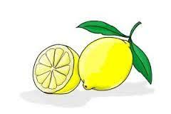 Image Result For Lemon Outline Drawing Tree Drawing For Kids Lemon Drawing Lemon Art