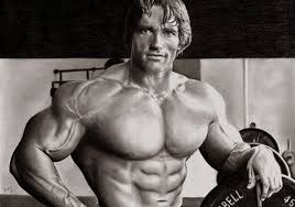 Arnold Schwarzeneggers Ab Workout Routine Build Shoulders