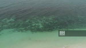 Permatang damar laut coastal pillboxes 2020 march 18. Perairan Pulau Rawa Kembali Bersih