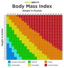 We did not find results for: Are You Overweight Or Obese Try Our Bmi Calculator Chart