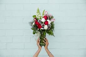 But they aren't the only flower that symbolizes love. The Best Flowers For Christmas