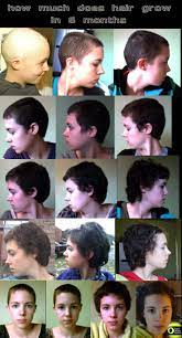 Why Shaved The Hair Http Earthreview Eu 2012 02 Girls Dare To Shave Their Heads Hair Growth After Chemo Hair Evolution Head Hair