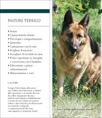 È già microchippato e vaccinato. Pastore Tedesco Vita In Casa Educazione Cure Teich Alasia Giorgio 9788841209561 Amazon Com Books