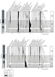 Image result for Sinopteridaceae