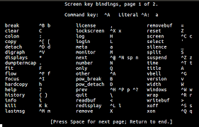 This may be a number, in which case it identifies the nth entry in the generated menu counted from zero, or the title of a menu entry, or the special string 'saved'.using the id may be useful if you want to set a menu entry as the default even though there may be a variable number of entries before it. 15 Linux Screen Command For Dealing Terminal Sessions