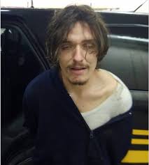 Man In Vinton County Escapes Police Steals And Wrecks Car Escapes Police Again Gets Tased Scioto Post