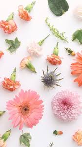 Image uploaded by nayra souza. 240 Spring Iphone Wallpapers Ideas Iphone Wallpaper Iphone Background Phone Wallpaper