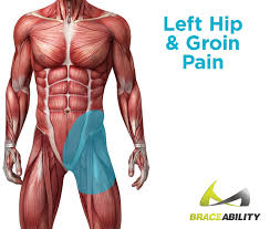 Pin On Muscle