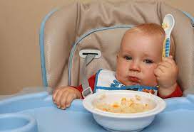 To get started, all you'll need is a food processor or blender and a saucepan. 10 Months Old Baby Food Chart