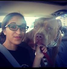 Picasso, my first baby, loving her brother, my first human baby!❤️