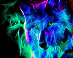 Cool Wolf Wolf Pictures Wolf Wallpaper Beautiful Wolves