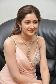 Bollywood Xxx, sayyeshaa saigal mobile HD phone wallpaper | Pxfuel