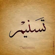 Bismillah Ir Rahman Ir Rahim Meaning In Telugu Taha Arabic Calligraphy Names In 2020 Calligraphy Name Urdu Calligraphy Arabic Calligraphy