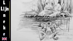 This episode will teach you to think differently about it.having trouble drawing eyes?sign up. Draw Reflections In Colored Pencil The Ultimate Step By Step Guide Coloured Pencil Books Shshoppingdasesquadrias Com Br