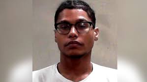 Wheeling man admits to firearm charge