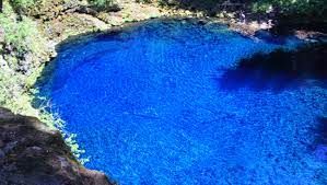 Check spelling or type a new query. Accidents Crowds Mar Mckenzie River S Blue Pool