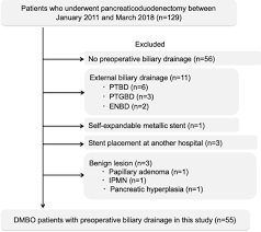 Comparison Of Double Layer Large Diameter And Conventional Small Diameter Plastic Stents For Preoperative Biliary Drainage In Resectable Distal Malignant Biliary Obstruction Scientific Reports 125 608 prosmotrov 125 tys. preoperative biliary drainage