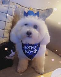 2006 babies turning 19 this year, officially ruining the phrase 'teenage  years'! ✌️✌️✌️✌️