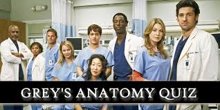 The show is great, but the last thing i want as a patient when picking my hospital is a lot of drama. The Ultimate Grey S Anatomy Quiz Devoted Fans Only Quizondo