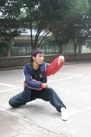 Northern seven star praying mantis kung fu complete series 8 dvd set 7 star jkd. Praying Mantis Kungfu