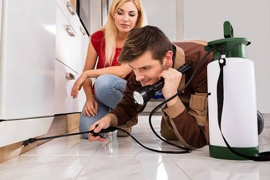 General pest control services