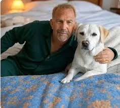Kevin Costner Lends His Voice to Dog in 'The Art of Racing in the Rain'  Trailer -Check the comment below 👇