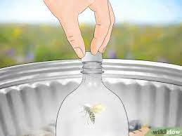 How To Kill Yellow Jackets 15 Steps With Pictures Wikihow