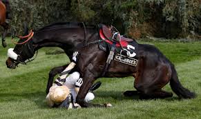 Jun 09, 2021 · saratoga racetrack quick info editor's note (6/17/21): Fago Ridden By Barry Fehilly Falls At The Open Ditch In The Supporting The Everton In The Community Steeple Chase During The Grand National Horse Racing Meeting At Aintree