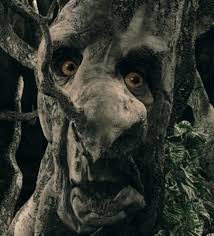 Check spelling or type a new query. Birchseed The One Wiki To Rule Them All Fandom