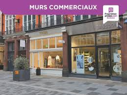 Vente Bureau Local Commercial Locmine 56500 3 Annonces Immobilieres