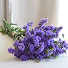 Dried purple flowers name : Indigo Statice Flower In 2021 Online Wedding Flowers Fresh Wedding Flowers Diy Wedding Flowers