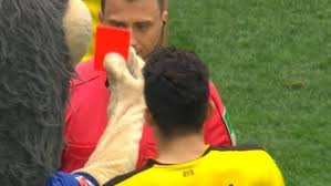 13.03.2021, fussball, saison 2020/2021, 1. Angry Mascot Storms The Field To Give The Referee A Red Card Article Bardown