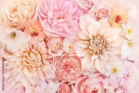 Find over 100+ of the best free flowers aesthetic images. Summer Blossoming Delicate Rose And Dahlia Blooming Flowers Festive Background Pastel And Soft Bouquet Floral Card Toned Stock Photo Adobe Stock