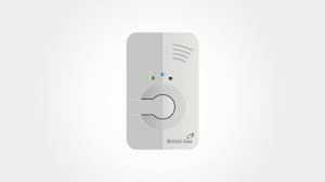 Carbon monoxide (co) gas cannot be seen or smelled, but it does exist in your home. Buy Carbon Monoxide Detector Alarm British Gas