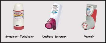 Is budesonide inhaler available as a generic drug? Budesonide And Formoterol Health Navigator Nz