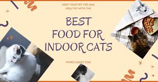 · best cat food for indoor cats faq: 10 Best Cat Food For Indoor Cats Reviews 2020 My Pet Likes It