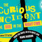 The Curious Incident of the Dog in the Night Time event image
