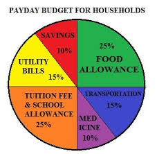 what is a pie chart selective school exam