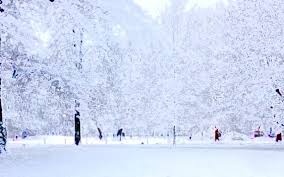 Freda Wolff: Nichts ist kälter als der Tod » 📚Hallo-Buch.de