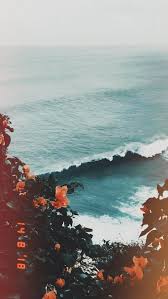 Pinterest Hamy Hamy Aesthetic Wallpapers Iphone Background Wallpaper Cute Wallpaper Backgrounds