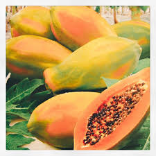 Obwohl die süße baummelone so exotisch ist, kannst. Wann Ist Eine Papaya Reif Bereit Zu Essen Papaya Fruits Papaya Seeds Papaya Plant