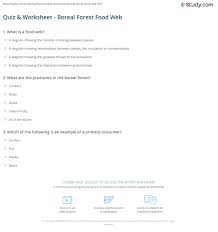 Welcome To The Web Worksheet Answers Kids Activities