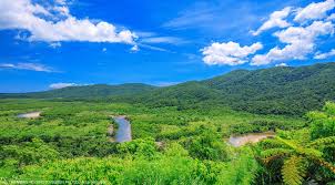 Evo japan 2018 official games. Ivk5co1v45t0fm