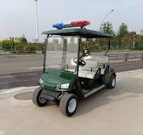 Powerful Golf Cart China Factory Supply Electric Golf Car 2 Seats 4 Seats  Smart Golf Cart