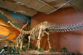 Longus, it is still one of the best known dinosaurs. Seismosaurus Hallorum Musee Du Nouveau Mexique D Histoire Naturelle Et Des Sciences Fossils Paleontology Dinosaur Art