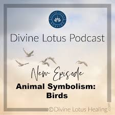 Unknown Birds Outside My Window Animal Symbolism Of Birds Divine Lotus Healing