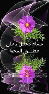 google flowers gif flower pictures beautiful rose flowers