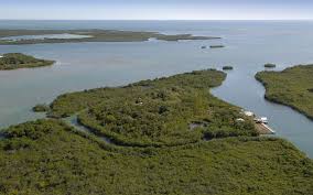 The World S Best Private Islands For Sale Private Island Island Florida Keys Islands