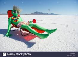 Strandkörbe für garten, terrasse oder balkon kann man in unserem onlineshop bestellen. Lustige Betrunkene Grune Alien Tourist Geht Auf Billig Urlaub Entspannung Im Strandkorb Mit Tropischen Drink Stockfotografie Alamy