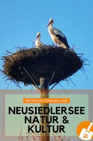 Neusiedlersee 10 Ausflugstipps Fur Den Fruhling Neusiedlerseecard Ausflug Reisen Burgenland